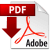 PDF download button